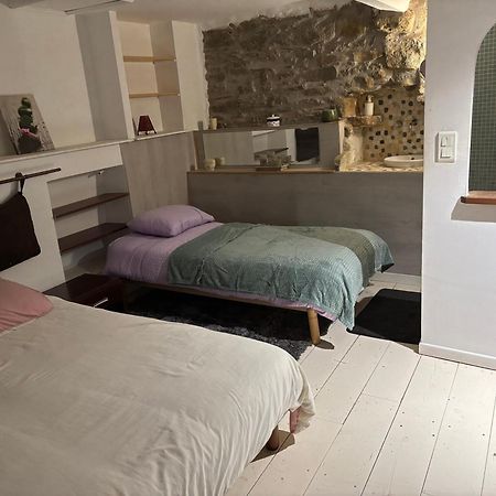 Flat Διαμέρισμα Καρκασόν Εξωτερικό φωτογραφία