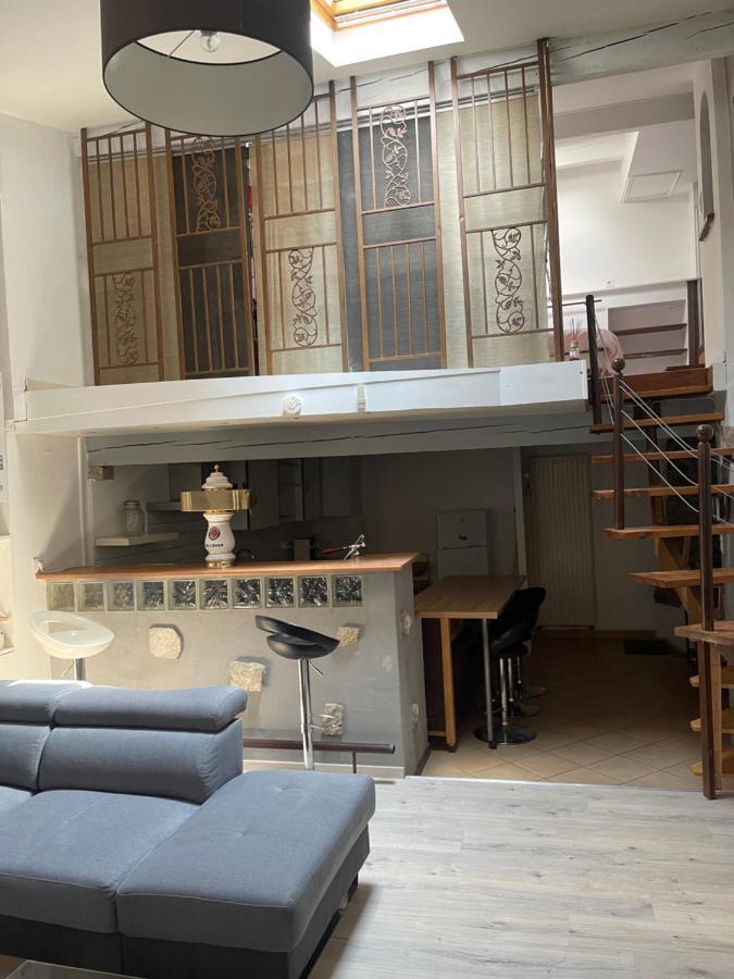 Flat Διαμέρισμα Καρκασόν Εξωτερικό φωτογραφία